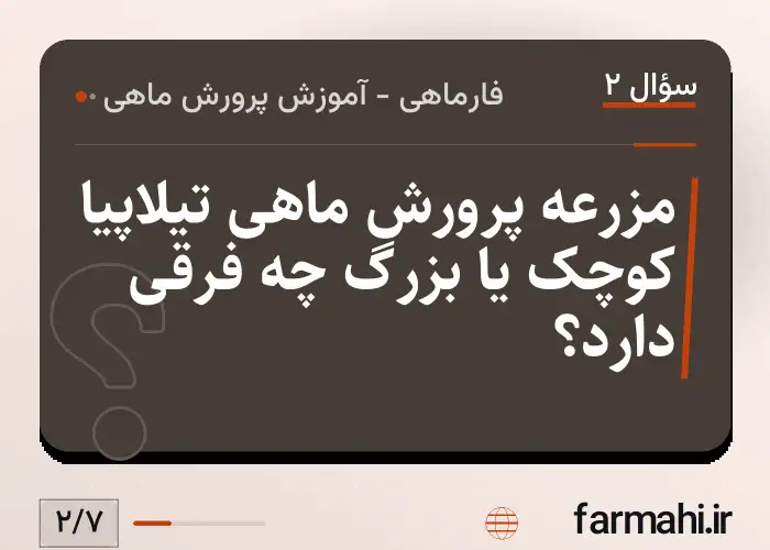 مزرعه پرورش ماهی تیلاپیا کوچک یا بزرگ چه فرقی دارد؟