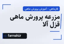 مزرعه پرورش ماهی قزل آلا