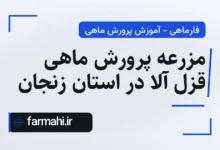 مزرعه پرورش ماهی قزل آلا در استان زنجان