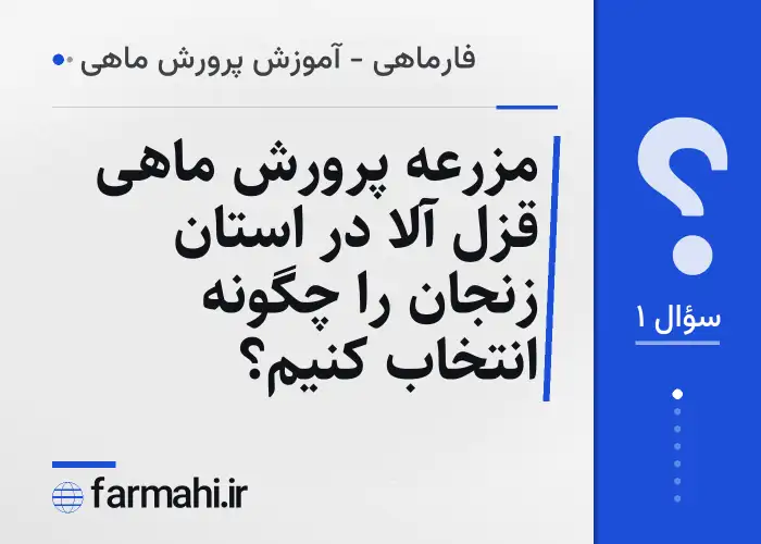 مزرعه پرورش ماهی قزل آلا در استان زنجان را چگونه انتخاب کنیم؟