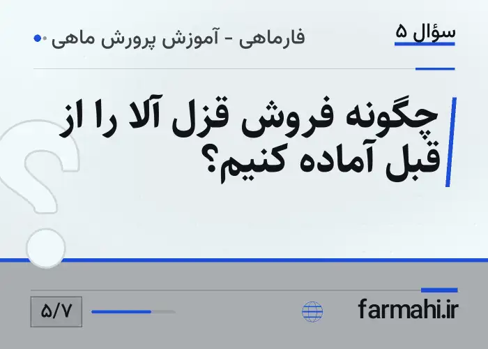 چگونه فروش قزل آلا را از قبل آماده کنیم؟
