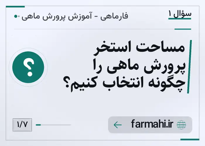 مساحت استخر پرورش ماهی را چگونه انتخاب کنیم؟