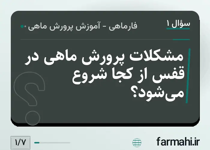 مشکلات پرورش ماهی در قفس از کجا شروع می‌شود؟