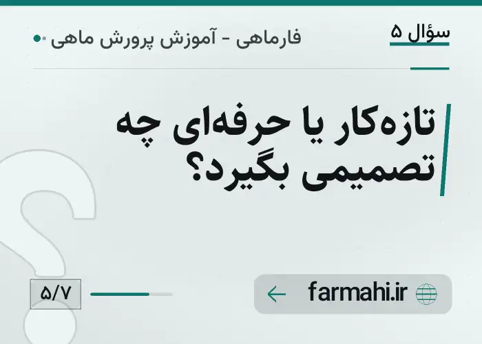 تازه‌کار یا حرفه‌ای چه تصمیمی بگیرد؟