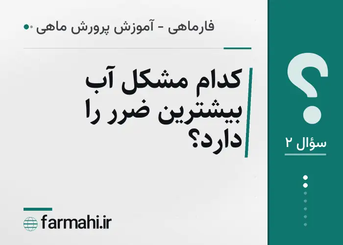 کدام مشکل آب بیشترین ضرر را دارد؟