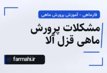 مشکلات پرورش ماهی قزل آلا