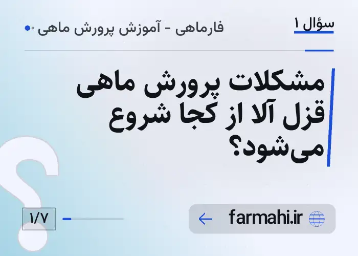 مشکلات پرورش ماهی قزل آلا از کجا شروع می‌شود؟