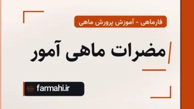 مضرات ماهی آمور