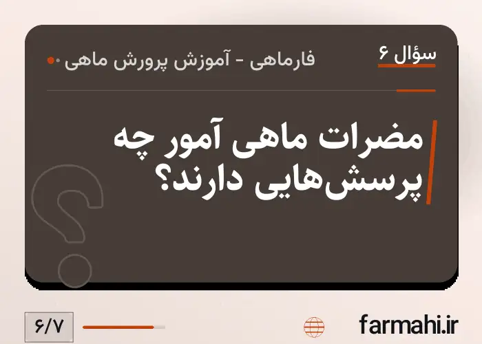 مضرات ماهی آمور چه پرسش‌هایی دارند؟