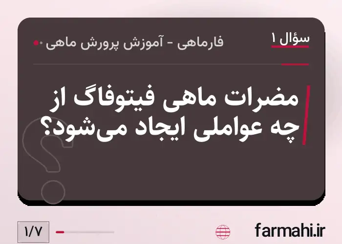 مضرات ماهی فیتوفاگ از چه عواملی ایجاد می‌شود؟