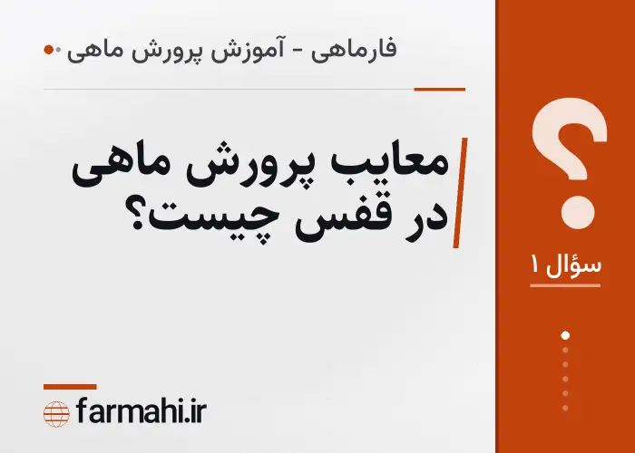 معایب پرورش ماهی در قفس چیست؟