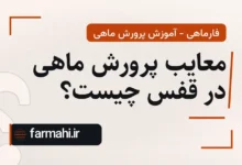 معایب پرورش ماهی در قفس چیست؟