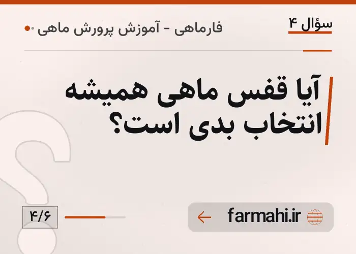 آیا قفس ماهی همیشه انتخاب بدی است؟