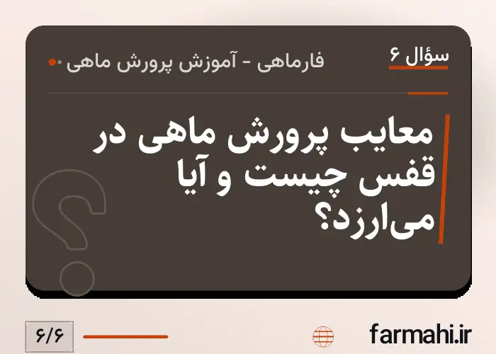 معایب پرورش ماهی در قفس چیست و آیا می‌ارزد؟