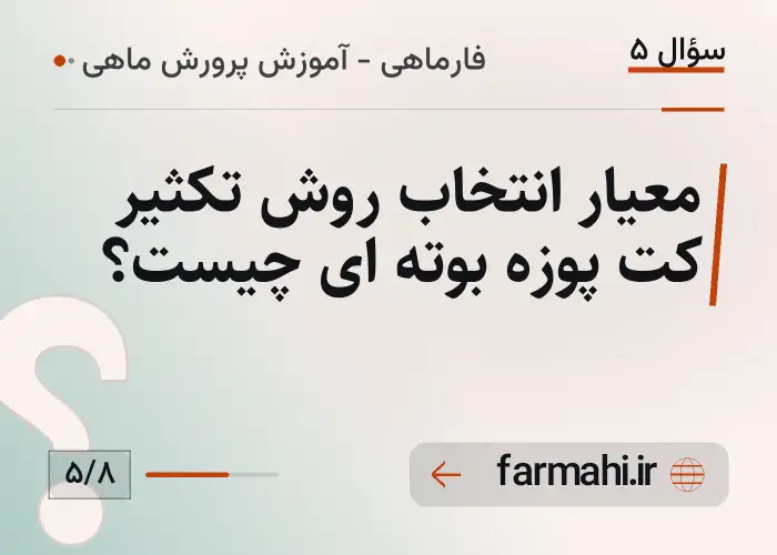 معیار انتخاب روش تکثیر کت پوزه بوته ای چیست؟
