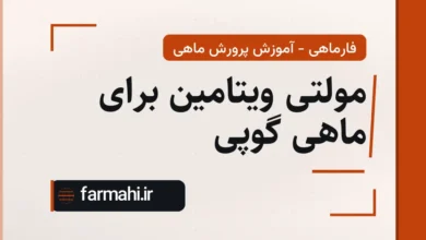 مولتی ویتامین برای ماهی گوپی