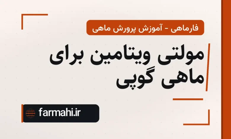 مولتی ویتامین برای ماهی گوپی