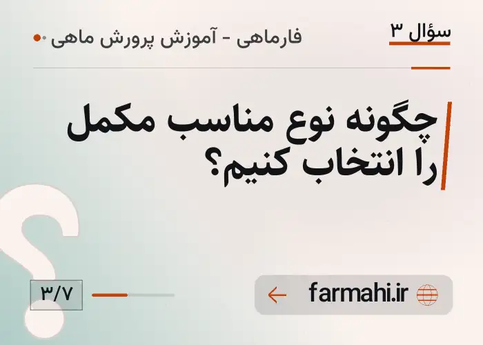 چگونه نوع مناسب مکمل را انتخاب کنیم؟