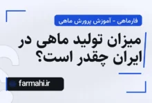 میزان تولید ماهی در ایران چقدر است؟