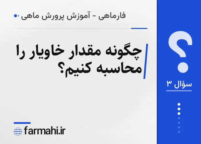 چگونه مقدار خاویار را محاسبه کنیم؟