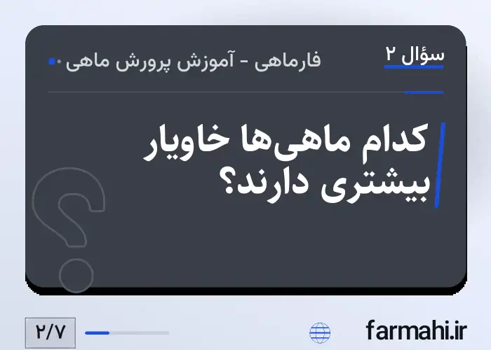 کدام ماهی‌ها خاویار بیشتری دارند؟