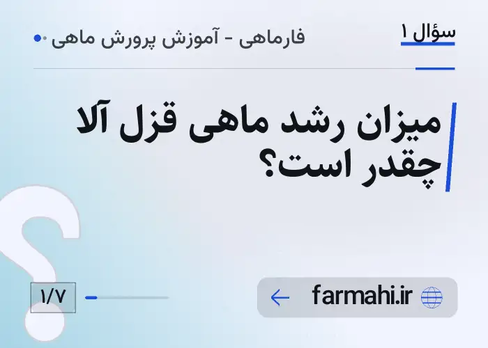 میزان رشد ماهی قزل آلا چقدر است؟