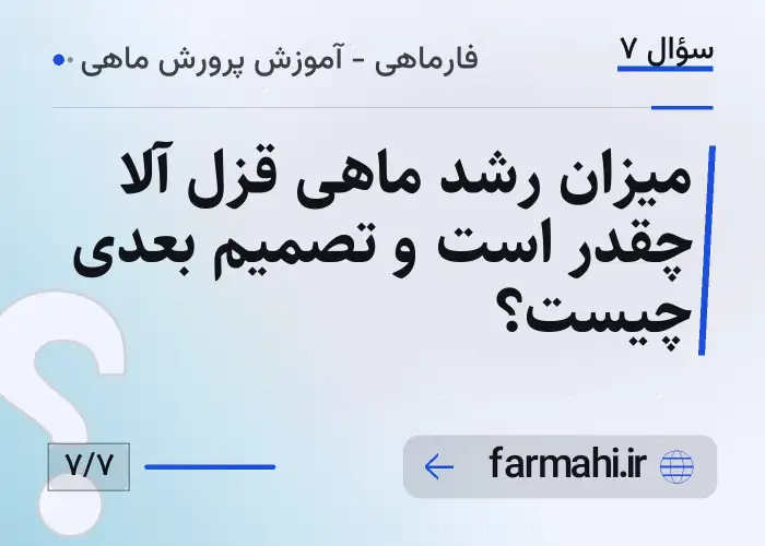 میزان رشد ماهی قزل آلا چقدر است و تصمیم بعدی چیست؟