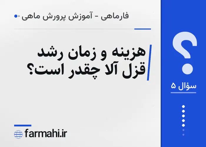 هزینه و زمان رشد قزل آلا چقدر است؟