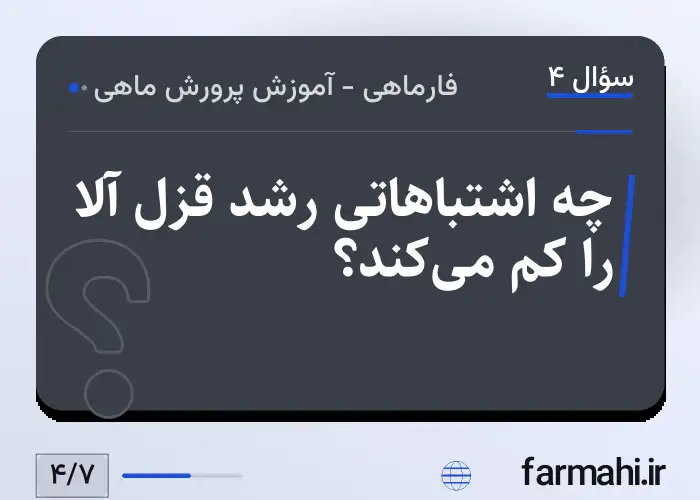 چه اشتباهاتی رشد قزل آلا را کم می‌کند؟