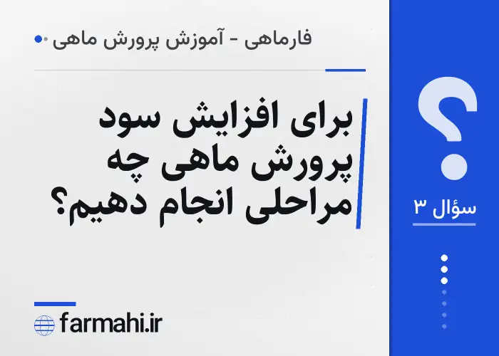 برای افزایش سود پرورش ماهی چه مراحلی انجام دهیم؟