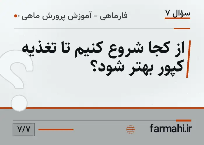 از کجا شروع کنیم تا تغذیه کپور بهتر شود؟