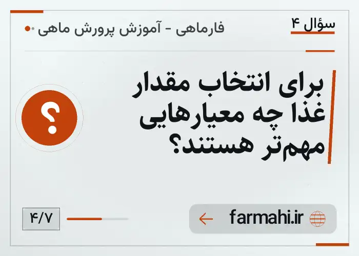 برای انتخاب مقدار غذا چه معیارهایی مهم‌تر هستند؟