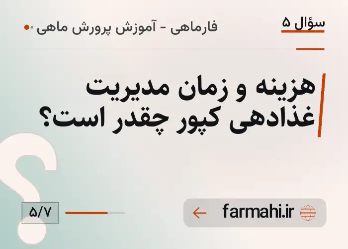 هزینه و زمان مدیریت غذادهی کپور چقدر است؟
