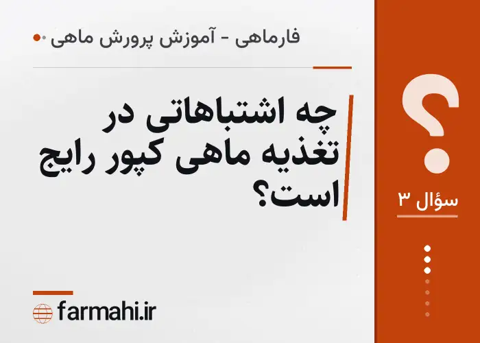 چه اشتباهاتی در تغذیه ماهی کپور رایج است؟