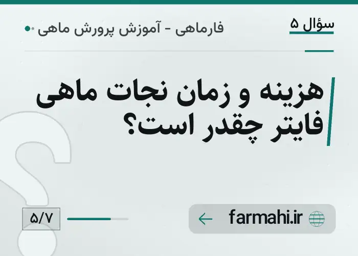 هزینه و زمان نجات ماهی فایتر چقدر است؟