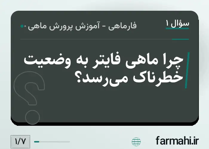 چرا ماهی فایتر به وضعیت خطرناک می‌رسد؟