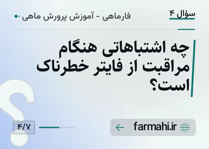 چه اشتباهاتی هنگام مراقبت از فایتر خطرناک است؟