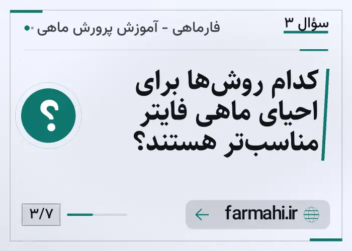 کدام روش‌ها برای احیای ماهی فایتر مناسب‌تر هستند؟