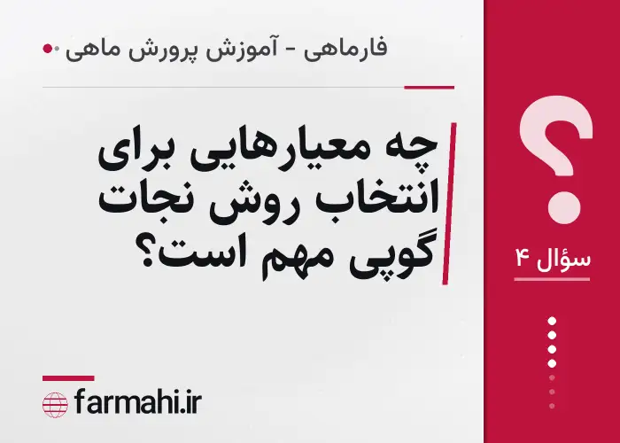 چه معیارهایی برای انتخاب روش نجات گوپی مهم است؟