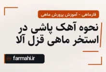 نحوه آهک پاشی در استخر ماهی قزل آلا