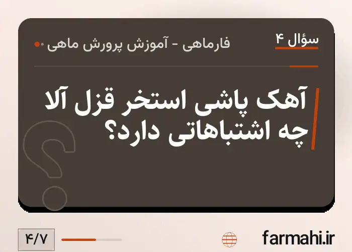 آهک پاشی استخر قزل آلا چه اشتباهاتی دارد؟