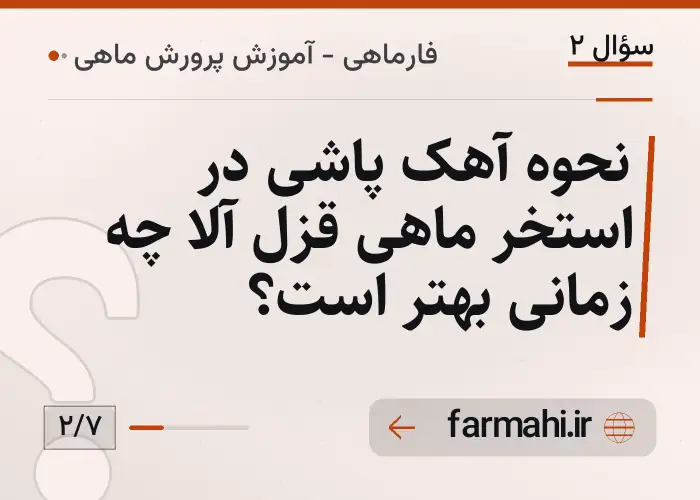 نحوه آهک پاشی در استخر ماهی قزل آلا چه زمانی بهتر است؟