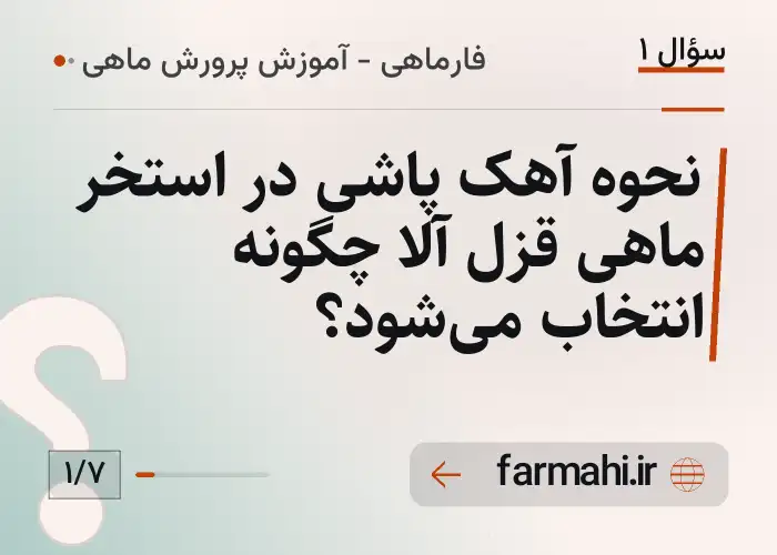 نحوه آهک پاشی در استخر ماهی قزل آلا چگونه انتخاب می‌شود؟