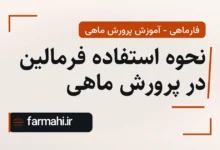 نحوه استفاده فرمالین در پرورش ماهی
