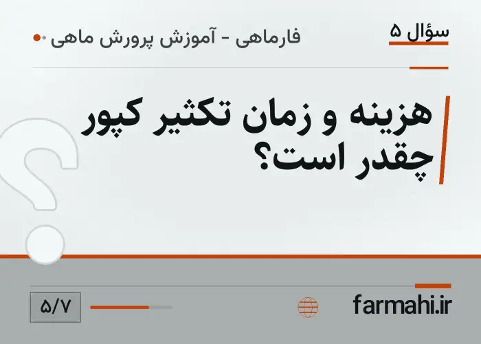 هزینه و زمان تکثیر کپور چقدر است؟