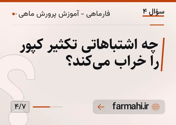 چه اشتباهاتی تکثیر کپور را خراب می‌کند؟