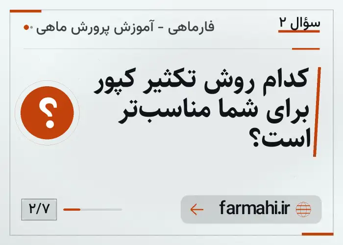 کدام روش تکثیر کپور برای شما مناسب‌تر است؟