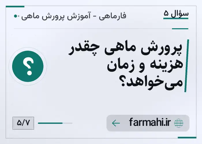 پرورش ماهی چقدر هزینه و زمان می‌خواهد؟