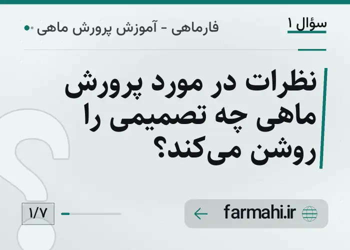نظرات در مورد پرورش ماهی چه تصمیمی را روشن می‌کند؟