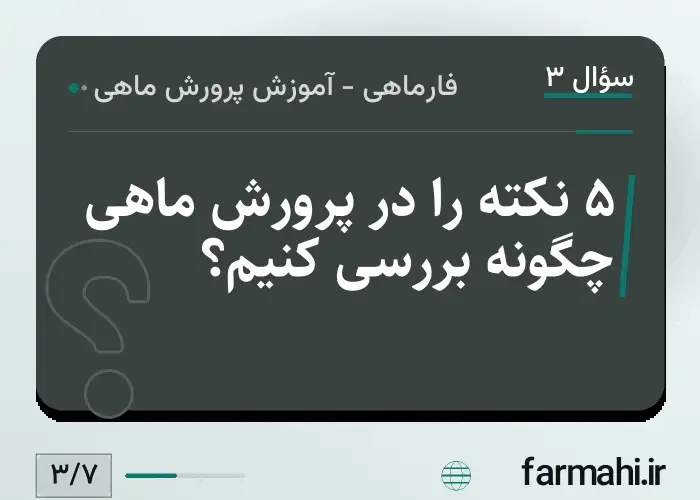 ۵ نکته را در پرورش ماهی چگونه بررسی کنیم؟